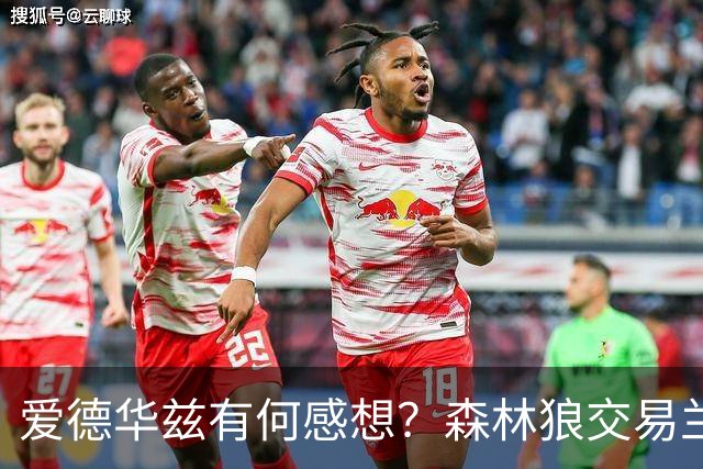 爱德华兹有何感想？森林狼交易兰德尔断臂求生 只为续约道苏姆？